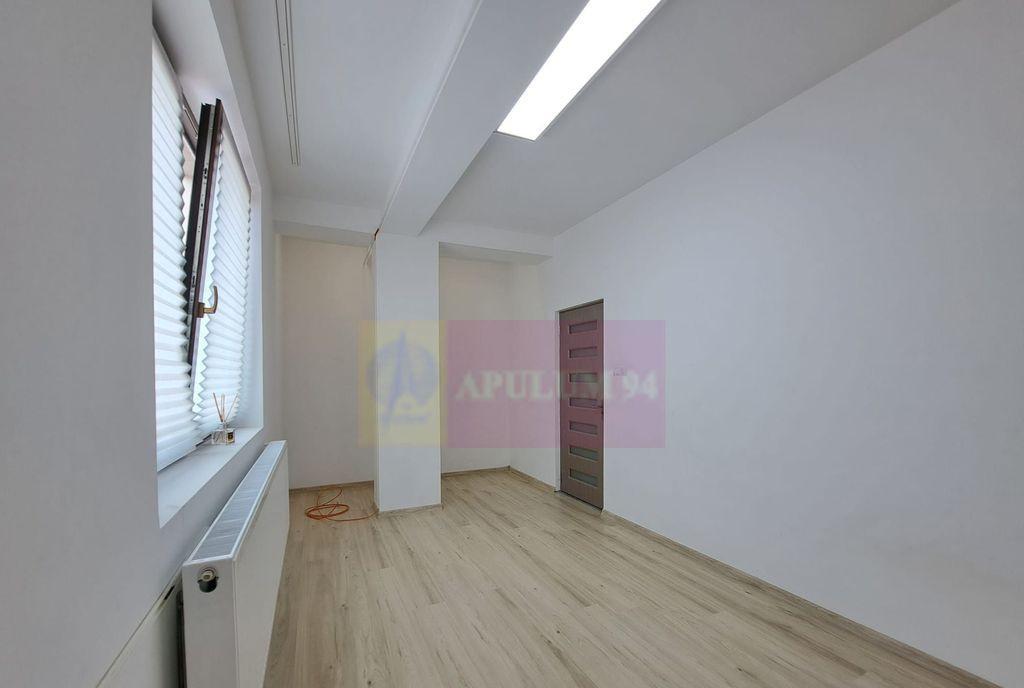 Vila P 3 12 camere 300 mp - birouri/clinica/locuin