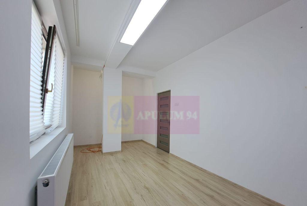 Vila P 3 12 camere 300 mp - birouri/clinica/locuin