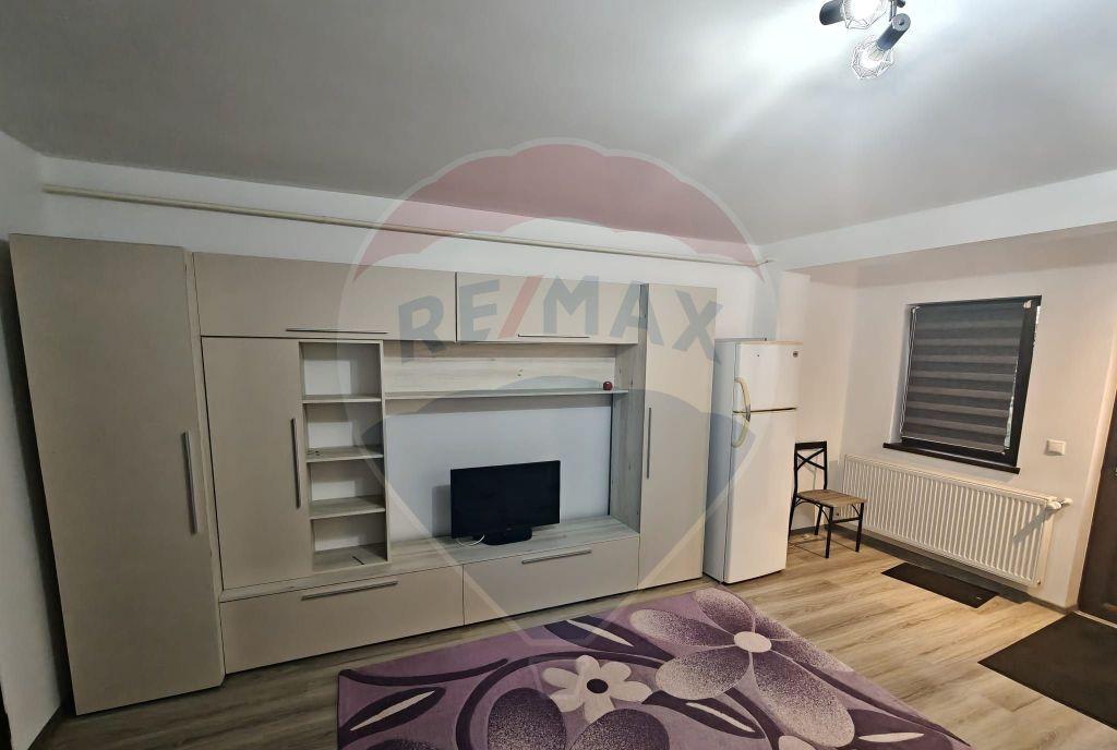 Apartament cu o camera de inchiriat Vlad Tepes