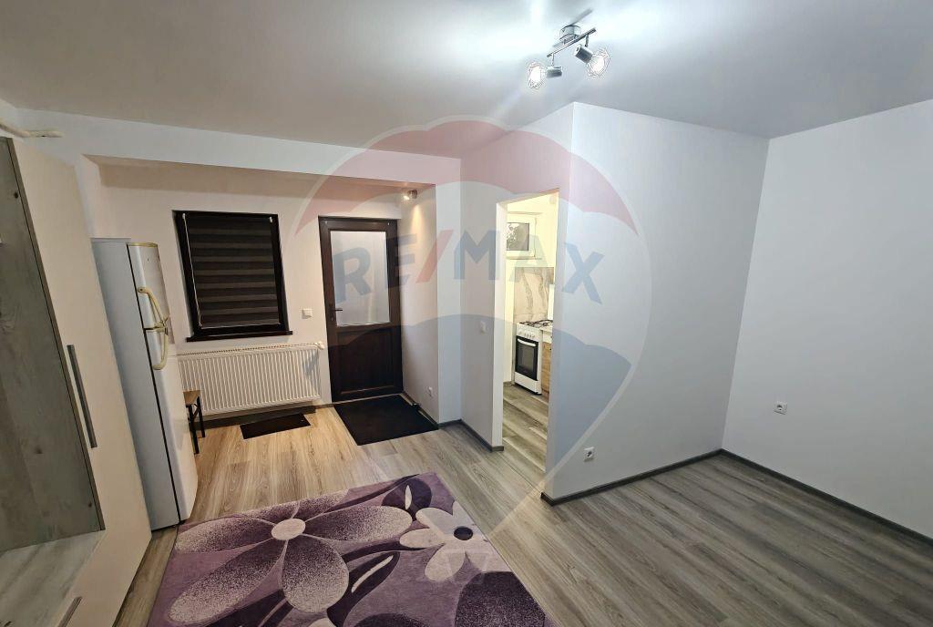 Apartament cu o camera de inchiriat Vlad Tepes