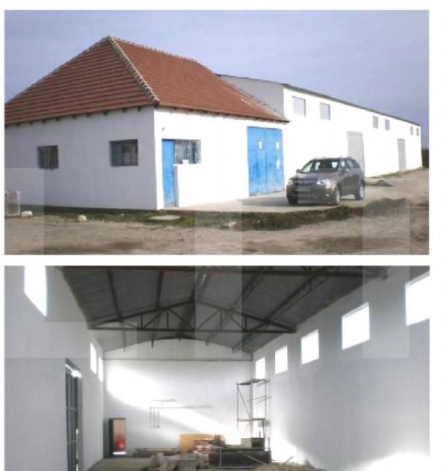 Depozit 483 mp Utvin - Acces tir Curent Trifazic