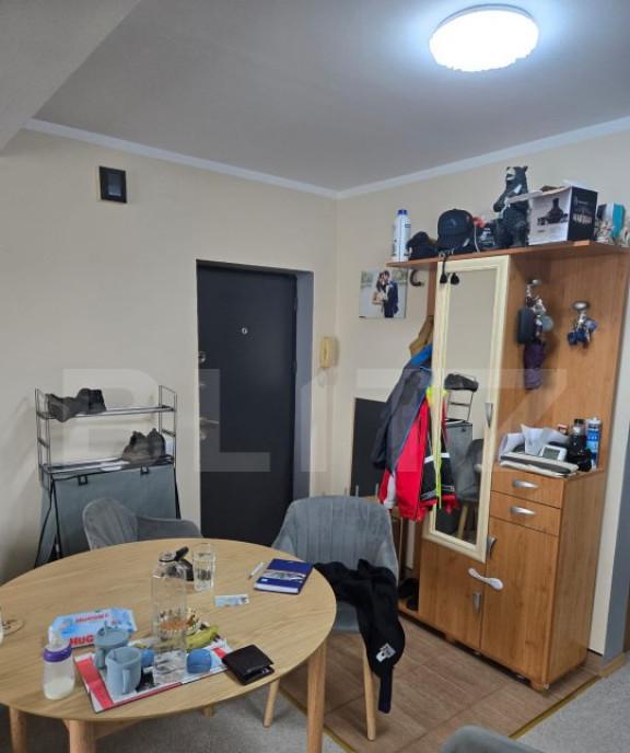 Depozit 483 mp Utvin - Acces tir Curent Trifazic