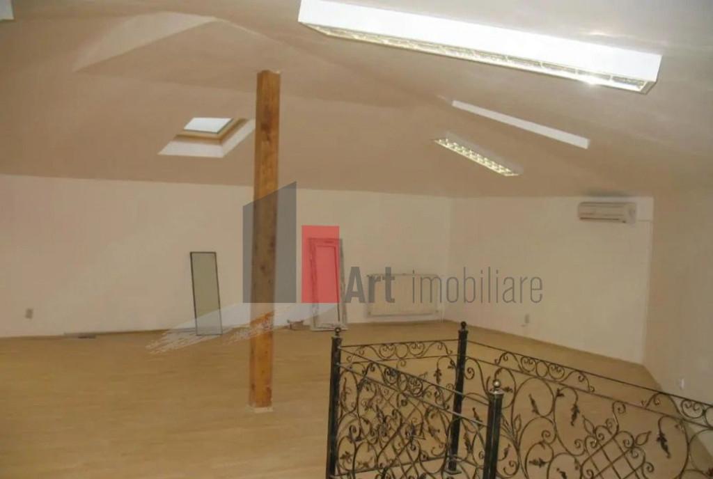 Unica Vila Spatioasa langa Podul Gran