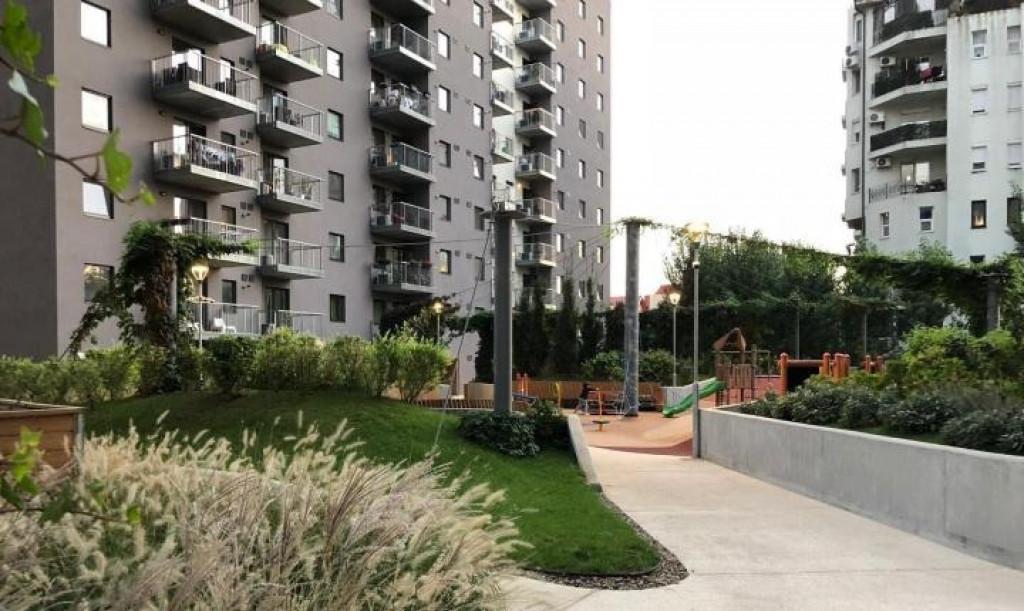 Brancoveanu tineretului the park studio