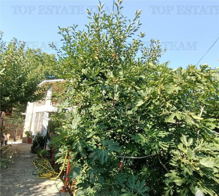 Vila P de 3 camere foisor garaj teren 612 mp Militari