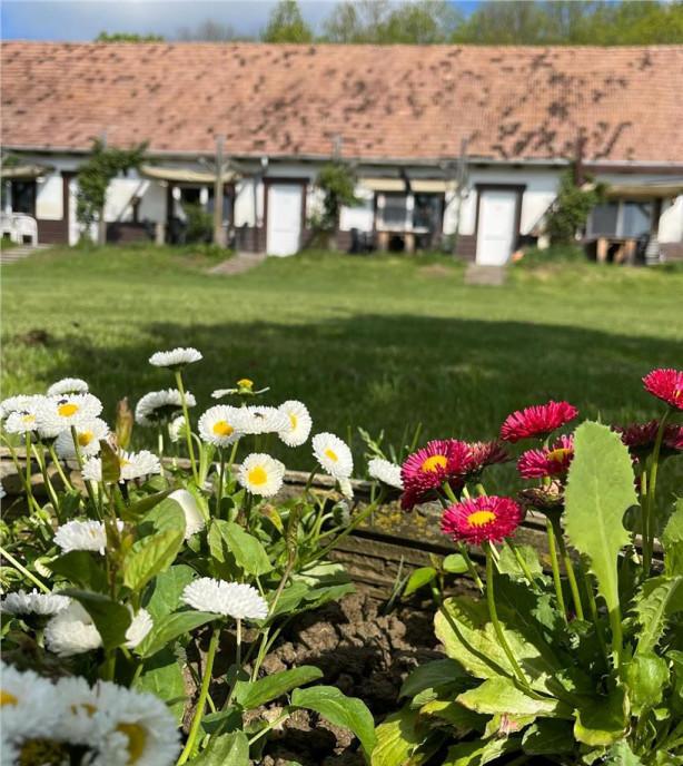 Transilvania Camping domeniu de 14 400mp Sanmarghita de Mu