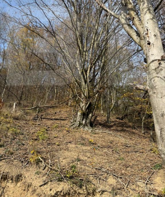 Garsoniera de vanzare cu o camera etaj 3 zona Lipovei