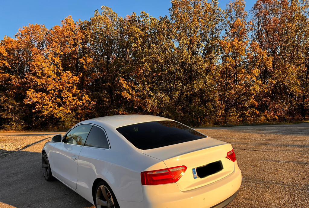 Audi A5 2008 2 0 TFSI 5 800 eur