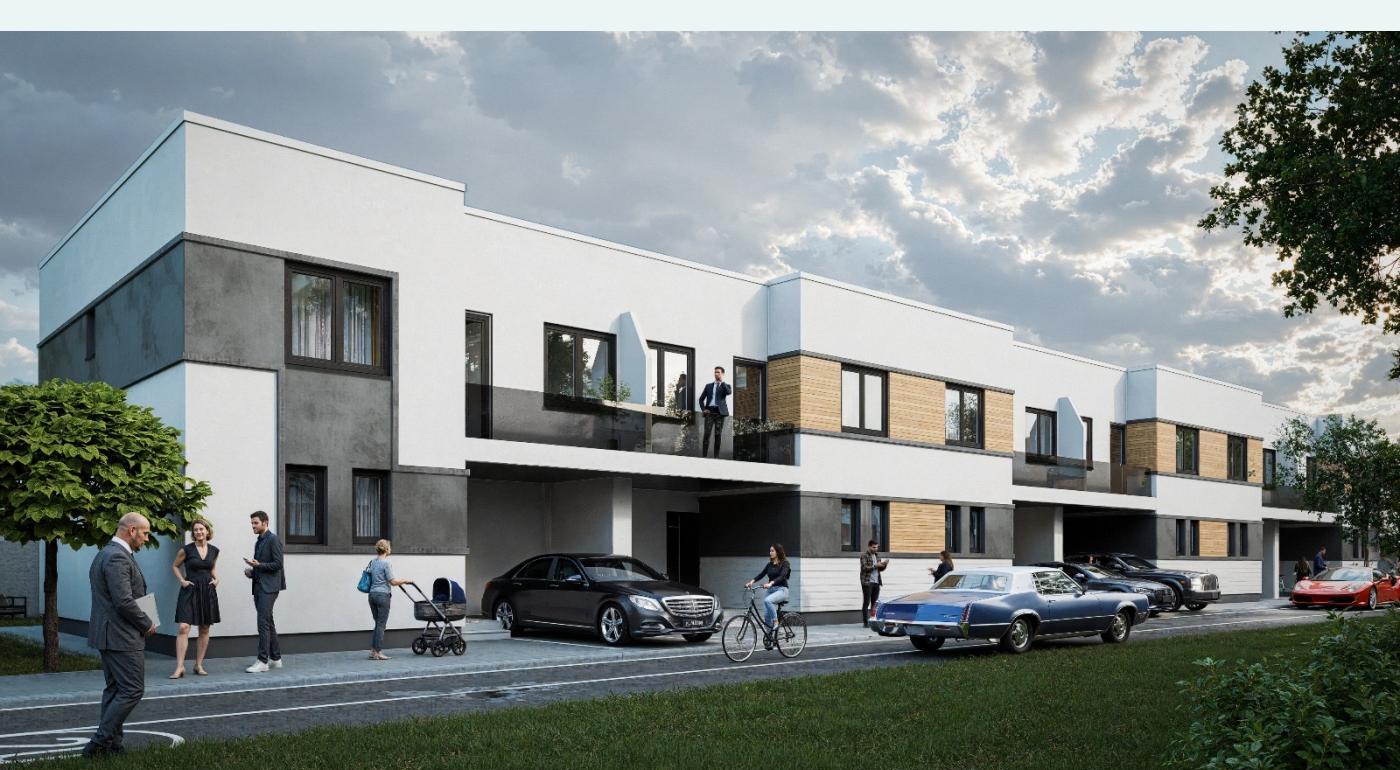 Vile Metrou Raul Doamnei