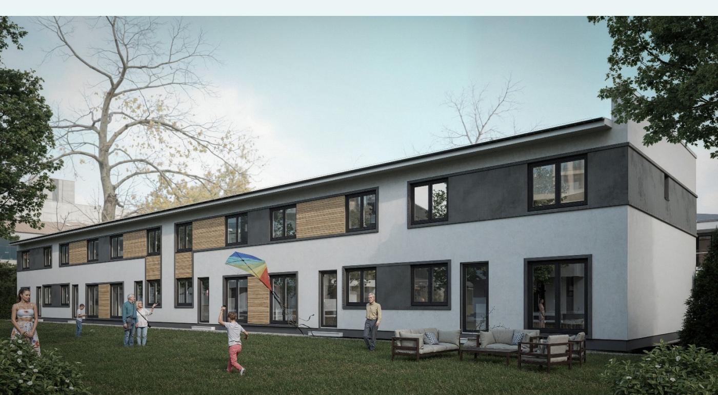 Vile Metrou Raul Doamnei