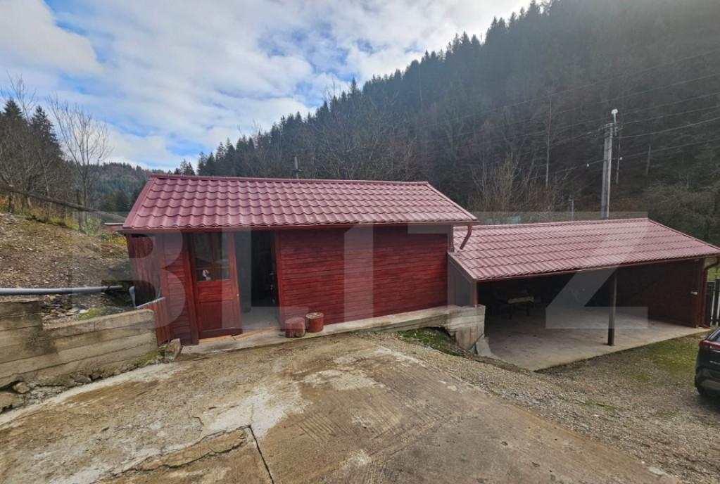 Casa la munte cu 6 camere zona Vadul Motilor