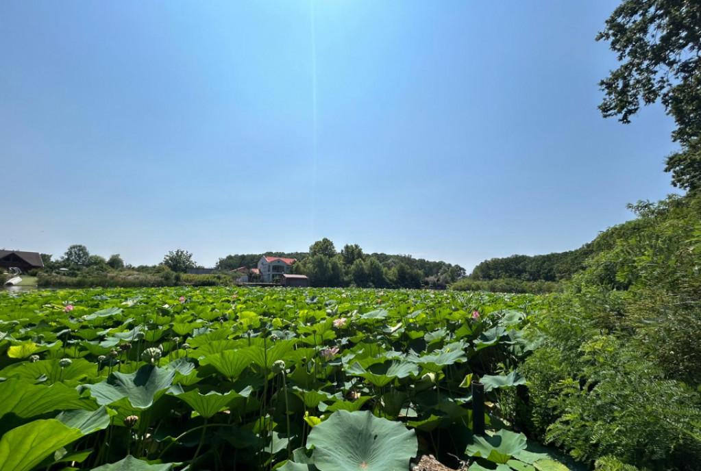 Garsoniera / 5 minute Metrou 1 Decembrie 1918 /