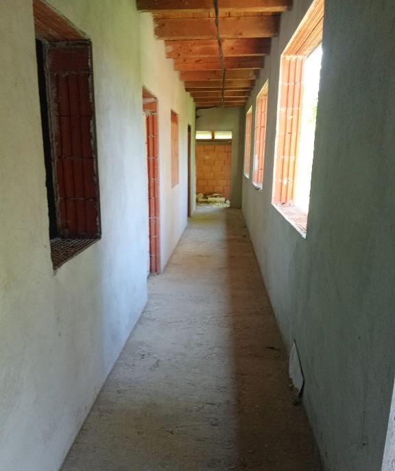 Casa Peregu Mare Arad