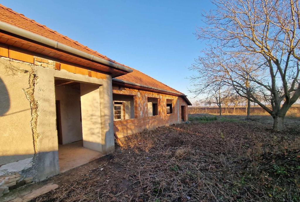 Casa Peregu Mare Arad