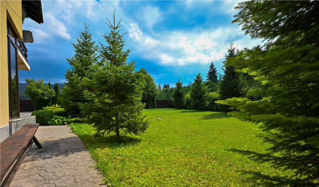 Film Refugiu elegant cadru natural rar vecinatati discrete