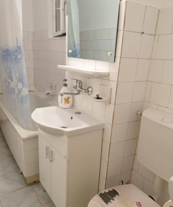 P f dau in chirie ap 1 camera utilat mobilat pe B dul N Titulescu