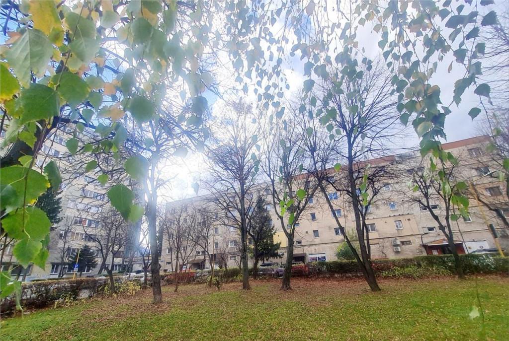 In proximitatea Parcului Coral garsoniera renovabila carti