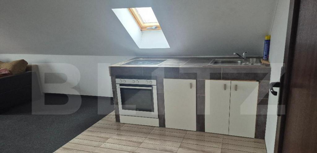 Apartament 4 camere 230 mp zona Careiului