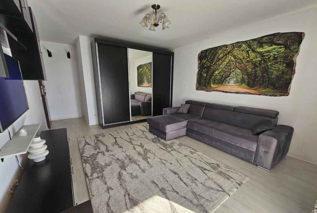 Proprietar Inchiriez apartament 2 camere Raul Doamnei Drumul Taberei