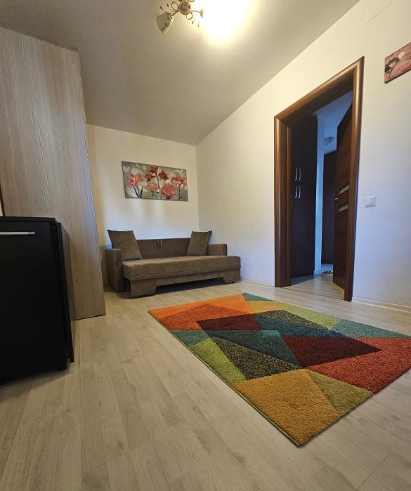 Proprietar Inchiriez apartament 2 camere Raul Doamnei Drumul Taberei