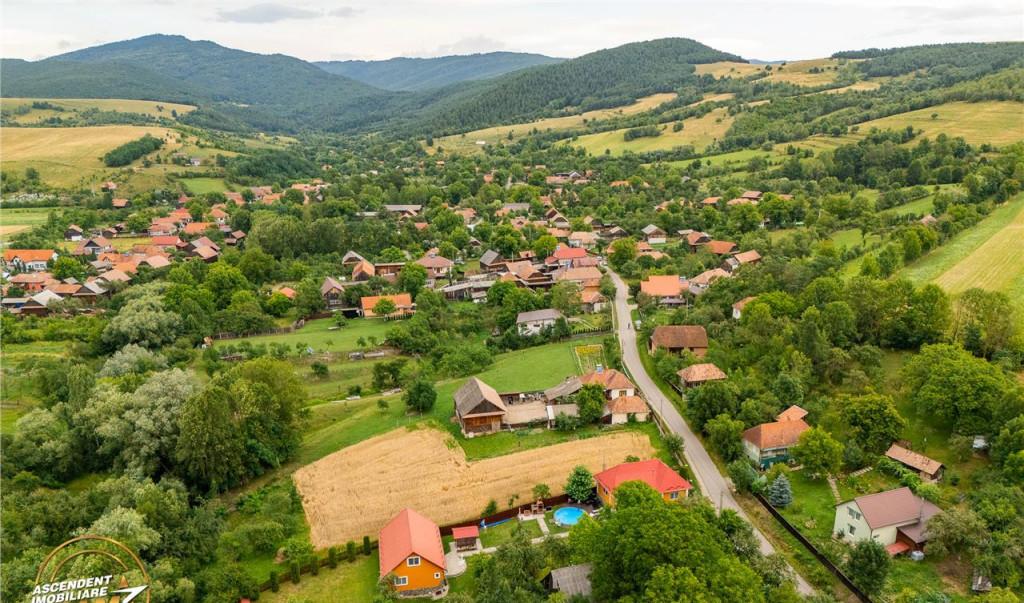 FILM3D Doua case cu piscina foisor arbori decorativi 1 700m