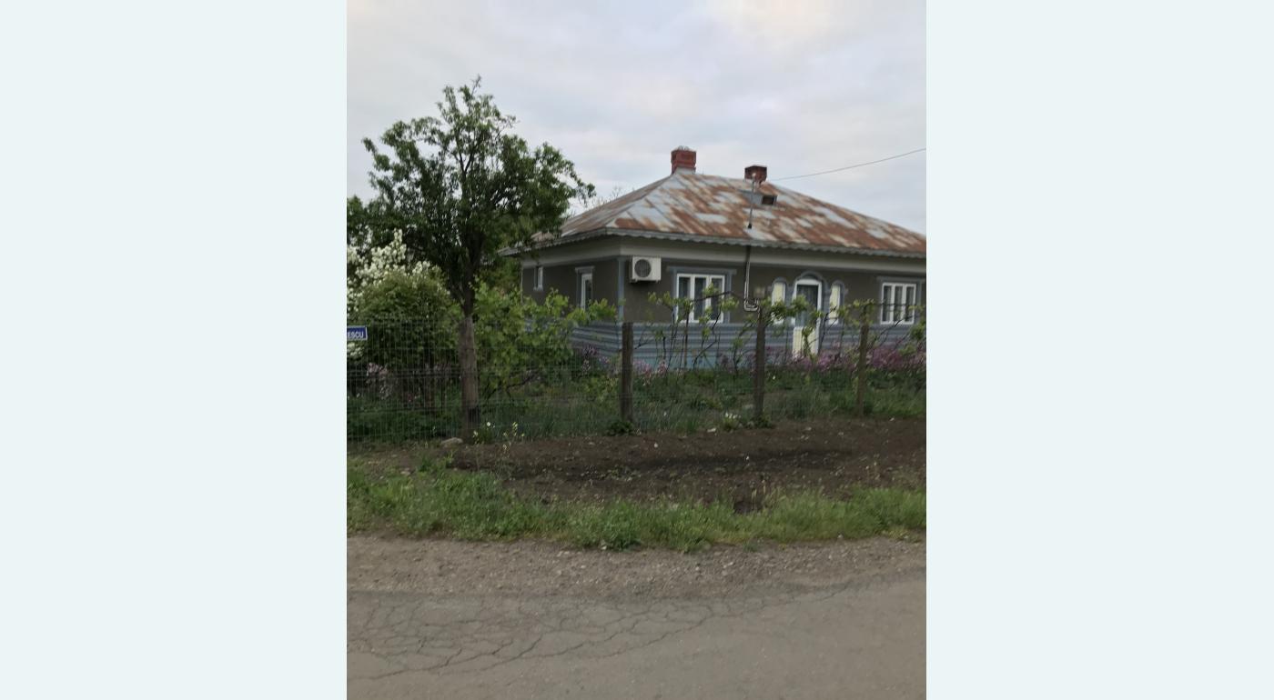 Zona centrala in com dragos voda Calarasi