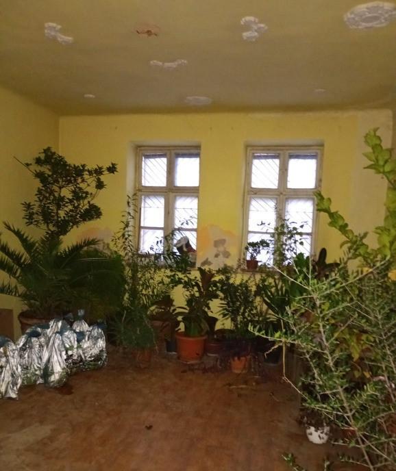 Imobil compus 12 apartamente str Andrei Saguna Arad