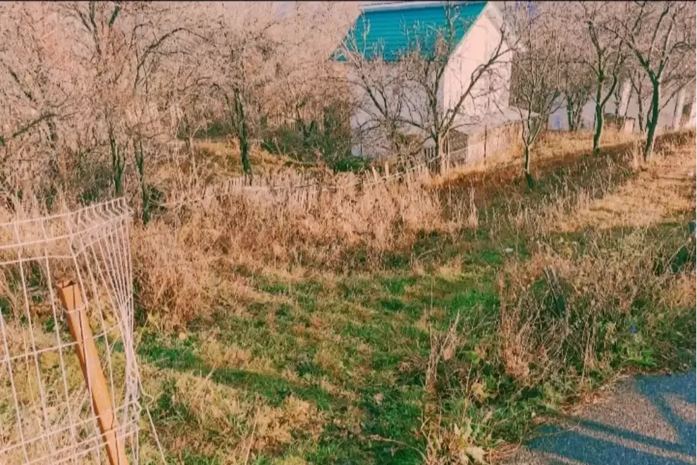 Teren Intravilan Valea Doftanei sat Sotrile in zona Barajului Paltinu