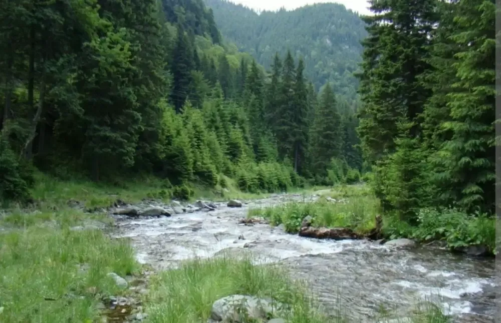 Teren Intravilan Valea Doftanei sat Sotrile in zona Barajului Paltinu