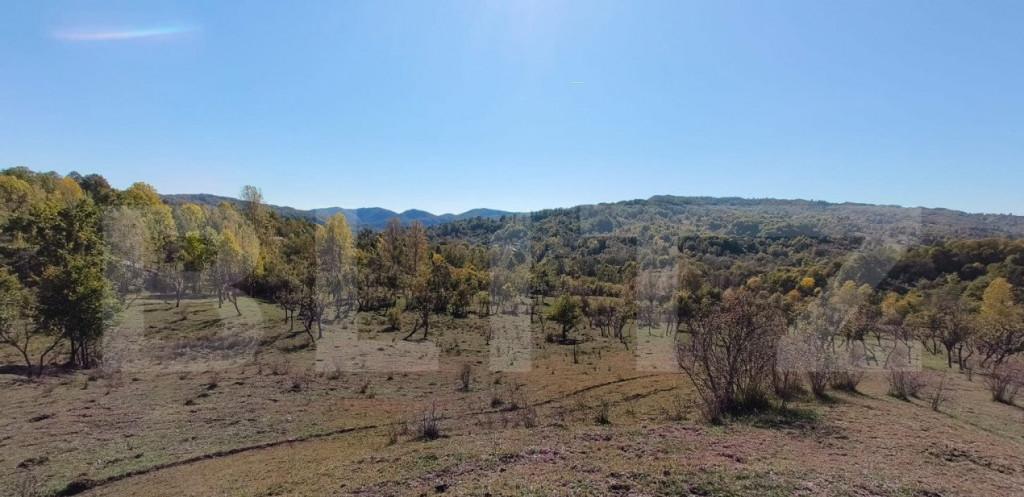 Casa 3 camere 76 mp zona Suseni