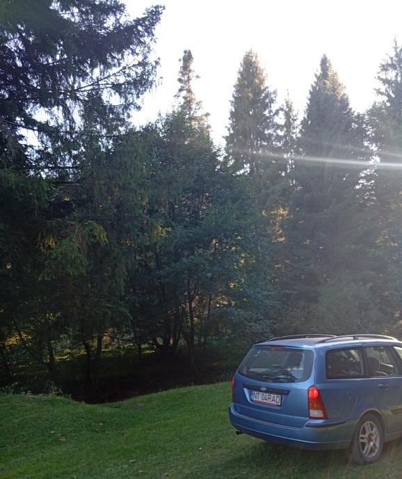 Ford focus 2002 5 500 lei