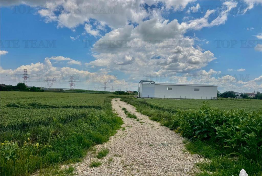 Spatii Office de inchiriat la etajul 1 in zona Grozavesti/