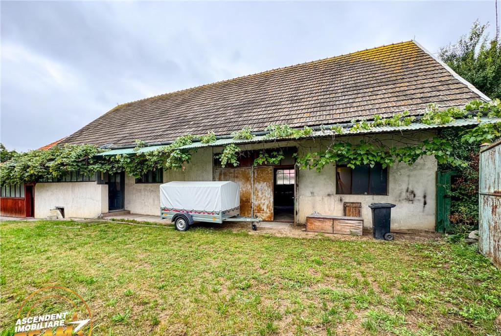 Film Domeniu de 1 660mp cu doua case atelier si anexe Lemn