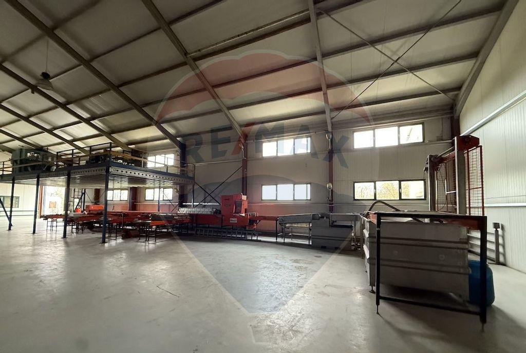 Ferma agro industriala - 43 ha Adunatii Copaceni