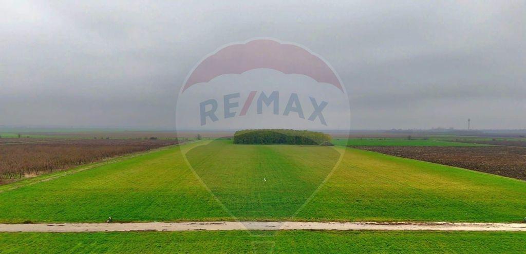 Ferma agro industriala - 43 ha Adunatii Copaceni