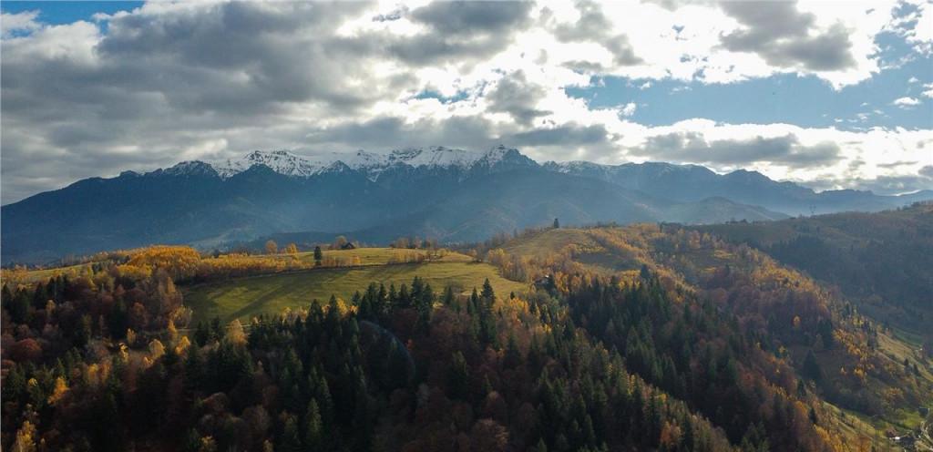 Film Constructie rustica tip Casa Verde cu parau si panora