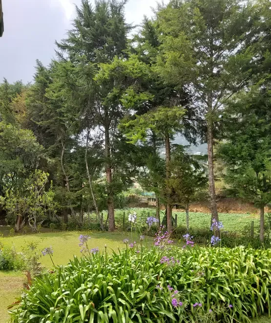 teren de vanzare zona metropolitana iasi panorama de vis