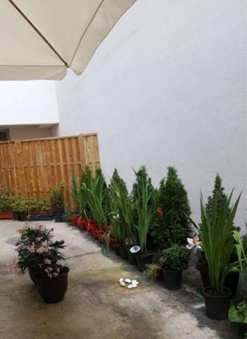 Apartament 3 camere luica 94 mp