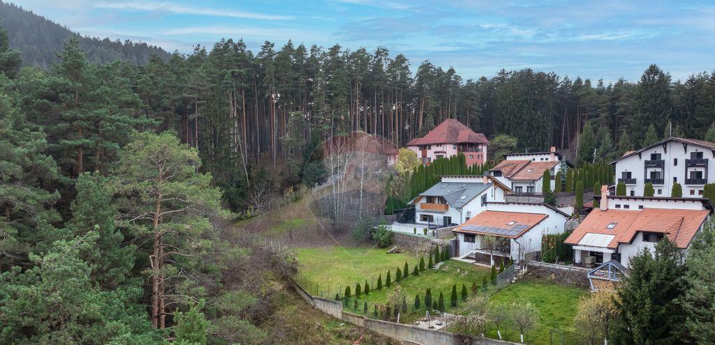 Vila cu vedere spre padure Poiana Angelescu