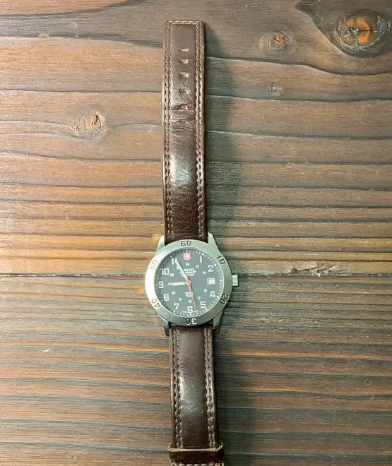 Ceas Wegner Swiss Military 7296X
