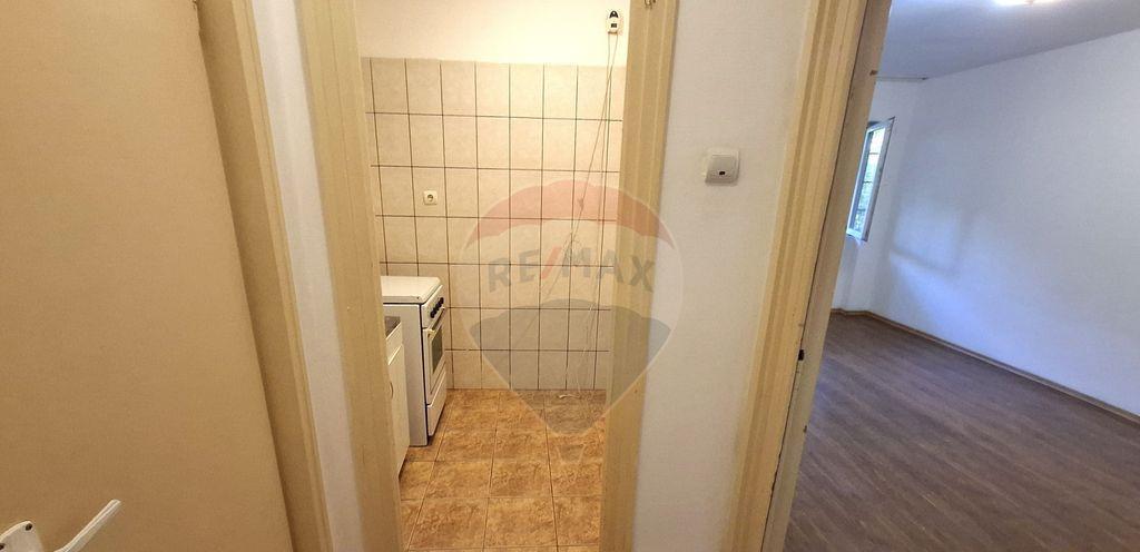 Vanzare Garsoniera 25 4mp Bdul Ferdinand 131