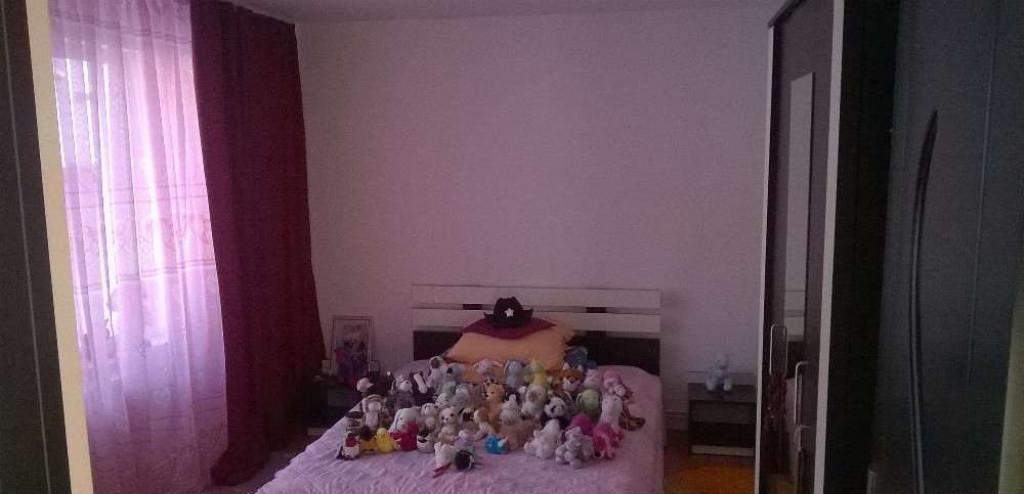 Casa spatioasa in Valea Marului cu anexa locuibila s