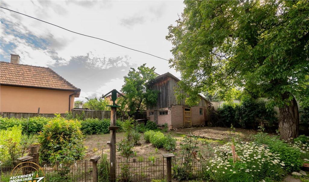 Casa traditionala cu teren pretios de 534 mp Targu Secuies