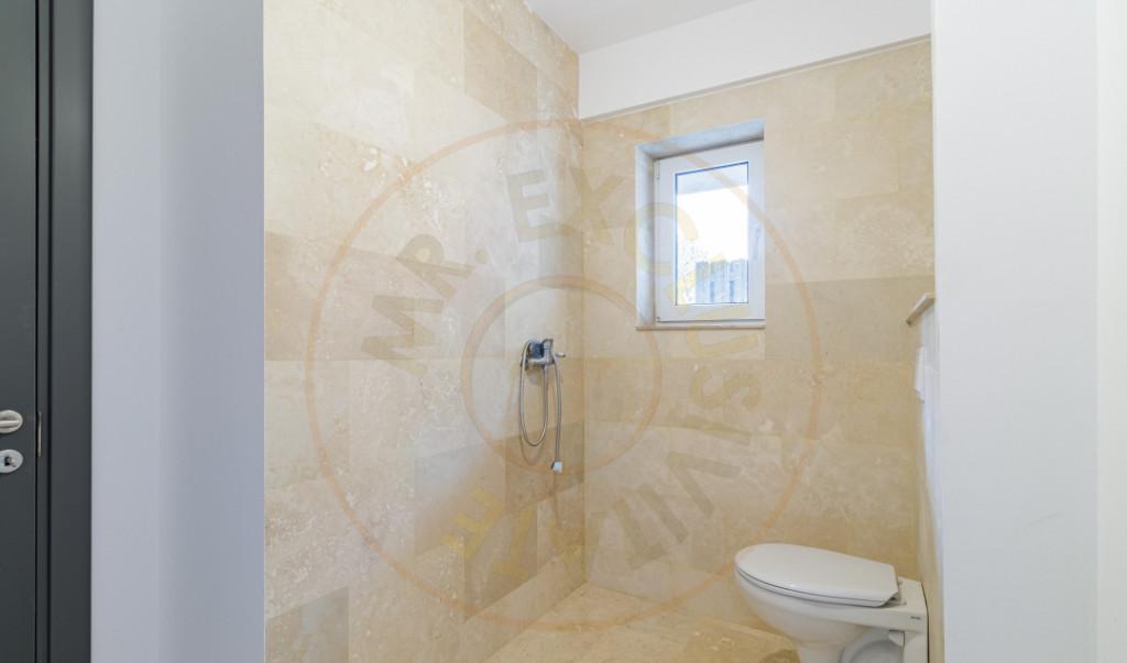 Casa Voluntari spatioasa si Proiect Rezidential