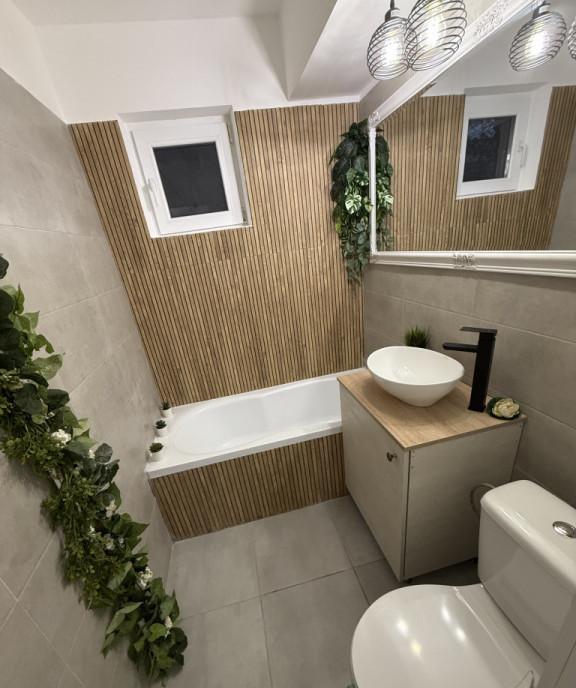 Apartament 2 camere Mobilat Berceni Straja Huedin