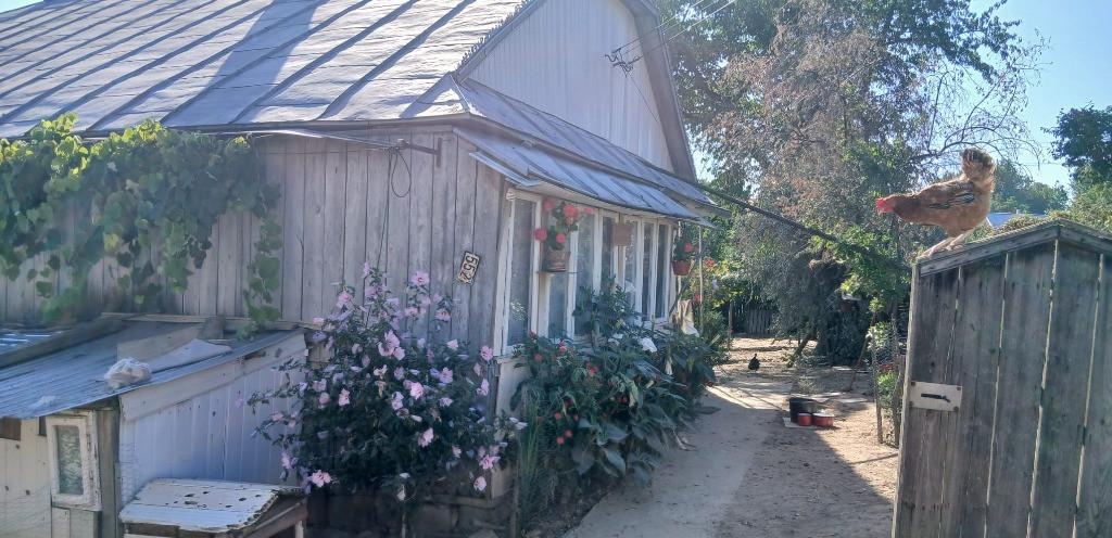 Casa teren in Adancata