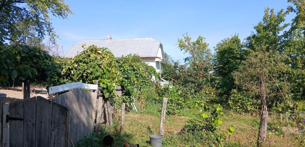 Casa teren in Adancata