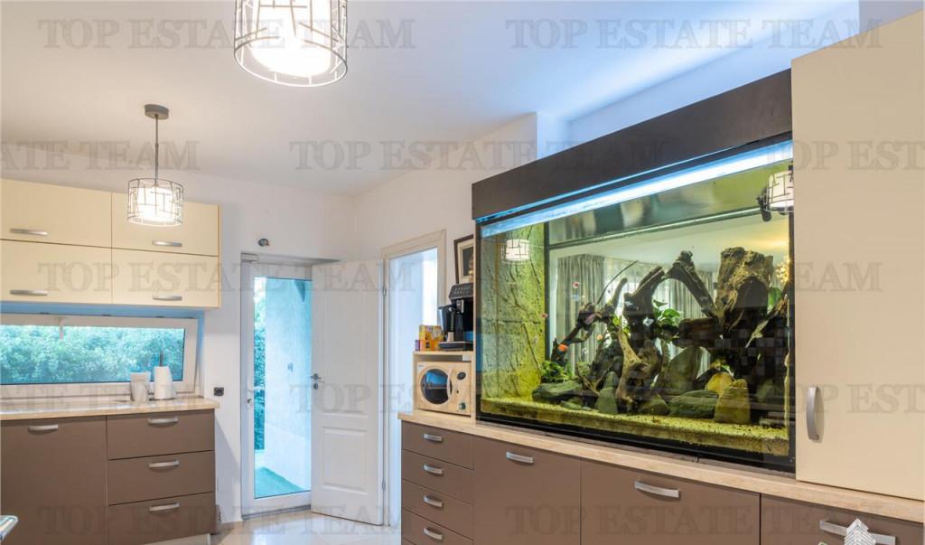 Vila 5 camere Pasarea Branesti cu piscina