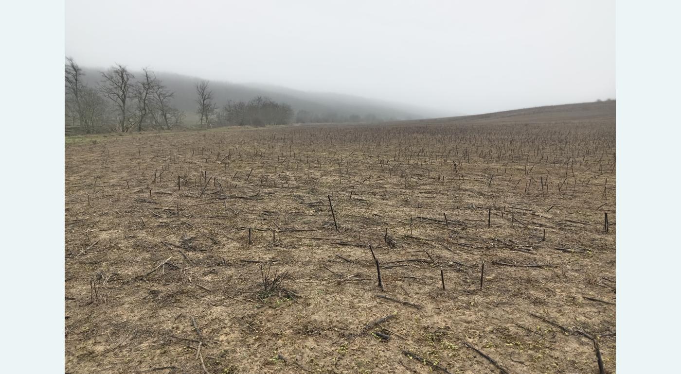 15 750 Euro vand 3 terenuri extravilan com Radesti Galati