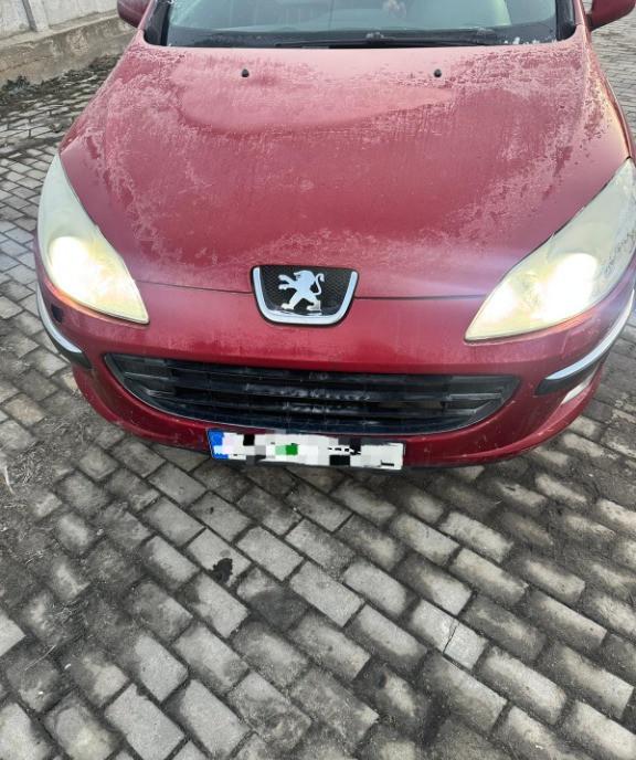 Piese Peugeot 407sw 100 lei